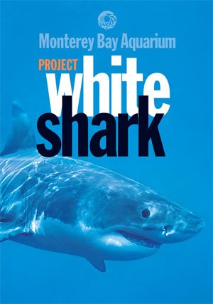 Stock image for Project White Shark : The Monterey Bay Aquarium's Quest to Understand and Exhibit the Great White Shark for sale by Jenson Books Inc