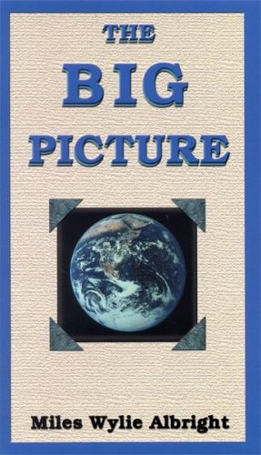 Imagen de archivo de The Big Picture a la venta por ThriftBooks-Atlanta