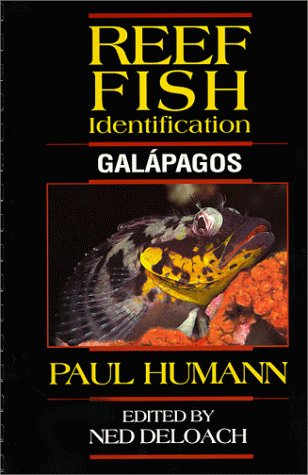 Beispielbild fr Reef Fish Identification: Galapagos zum Verkauf von A1AMedia