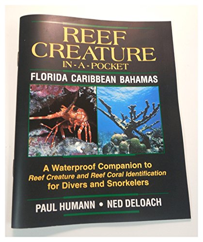 Beispielbild fr Reef Creature in-a-pocket Caribbean zum Verkauf von Revaluation Books