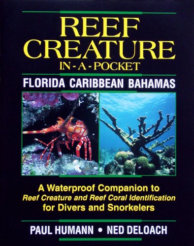9781878348227: Reef Creature in-a-pocket Florida, Caribbean, Bahamas