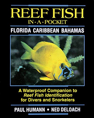 Reef Fish In A Pocket - Florida Caribbean Bahamas (9781878348234) by Paul Humann; Ned DeLoach