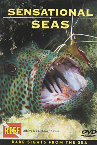 Stock image for Sensational Seas DVD: Rare Sights from the Sea for sale by SecondSale