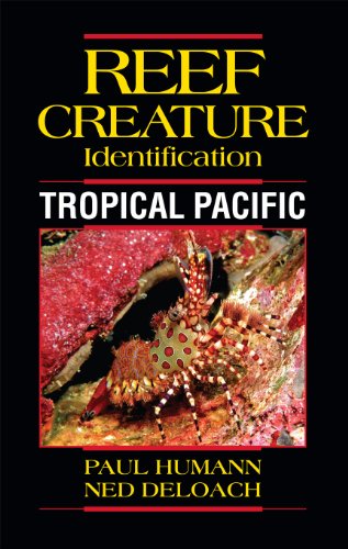 9781878348449: Reef Creature Identification Tropical Pacific