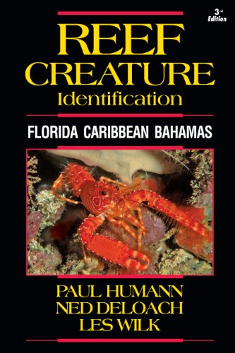 9781878348531: Reef Creature Identification: Florida Caribbean Bahamas: 02 (Reef Set)