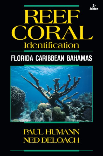 Beispielbild fr Reef Coral Identification: Florida Caribbean Bahamas zum Verkauf von THE SAINT BOOKSTORE