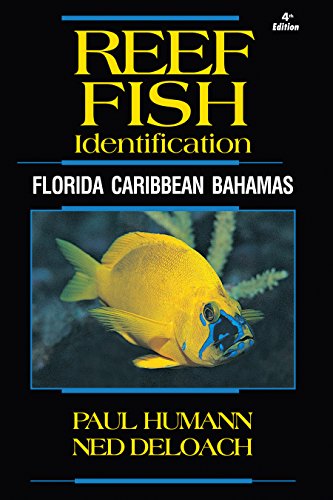 Beispielbild fr Reef Fish Identification - Florida Caribbean Bahamas - 4th Edition (Reef Set) zum Verkauf von BooksRun