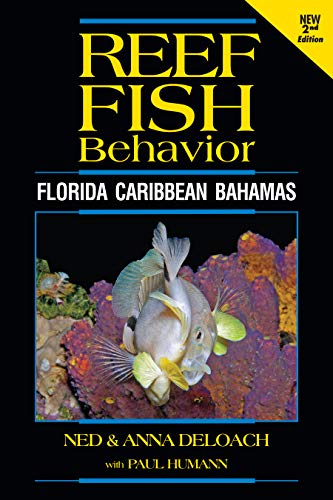 9781878348685: Reef Fish Behavior: Florida - Caribbean - Bahamas