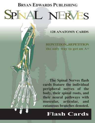 Stock image for The Spinal Nerves (Flash Cards) (Flash Paks) for sale by GoldenWavesOfBooks