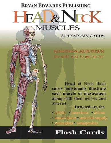 Stock image for Head & Neck Muscles (Flash Cards) for sale by SecondSale