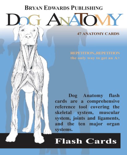 Stock image for Dog Anatomy for sale by BooksRun