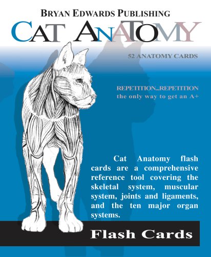 Stock image for Cat Anatomy for sale by GF Books, Inc.