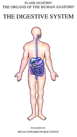 Stock image for The Digestive System: Flash anatomy-- the Organs of the Humna Anatomy for sale by P.C. Schmidt, Bookseller