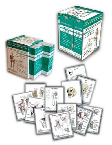 Stock image for Ultimate Anatomy: Muscles, Bones, Head and Neck Muscles Flash Cards for sale by Books Unplugged