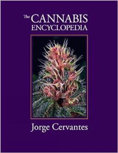 Beispielbild fr The Cannabis Encyclopedia: The Definitive Guide to Cultivation & Consumption of Medical Marijuana zum Verkauf von Books From California