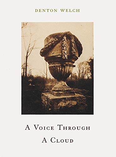 Stock image for A Voice Through a Cloud for sale by 2nd Life Books