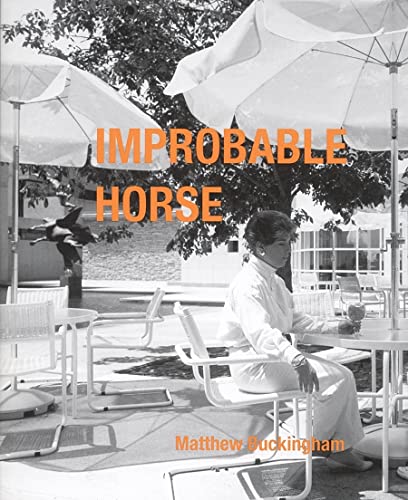 Stock image for Matthew Buckingham: Improbable Horse for sale by McCord Books