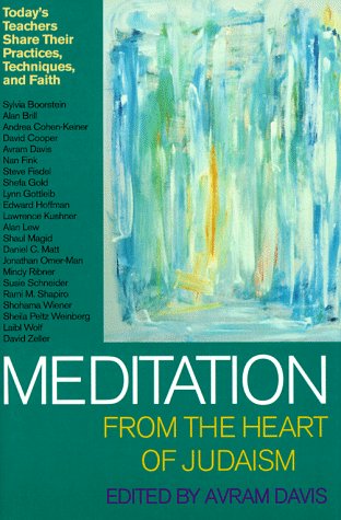 Stock image for Meditation from the Heart of Judaism: Today's Teachers Share Their Practices, Techniques, and Faith. for sale by Henry Hollander, Bookseller