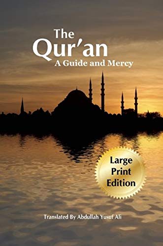 Stock image for The Qur'an: A Guide and Mercy for sale by GoldBooks
