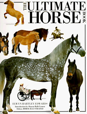 Beispielbild fr The Ultimate Horse Book zum Verkauf von SecondSale