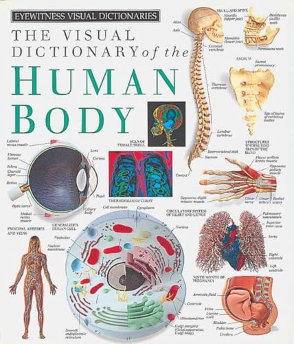 9781879431188: Eyewitness Visual Dictionaries: The Visual Dictionary of the Human Body