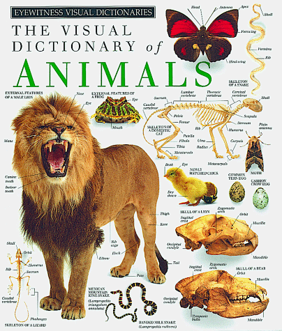 Beispielbild fr THE VISUAL DICTIONARY OF ANIMALS (A Dorling Kindersley Eye Witness Visual Dictionary) zum Verkauf von 100POCKETS