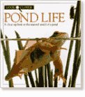 Stock image for Look Closer: Pond Life for sale by HPB-Diamond