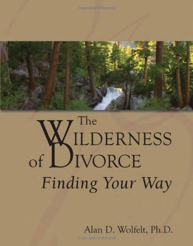 9781879651531: The Wilderness of Divorce: Finding Your Way (Transcending Divorce)