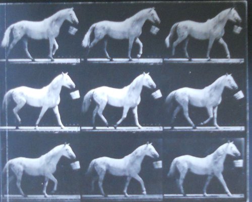 Motion and Document Sequence and Time: Eadweard Muybridge and Contemporary American Photography