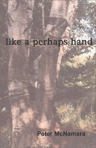 Stock image for Like a Perhaps Hand for sale by Better World Books