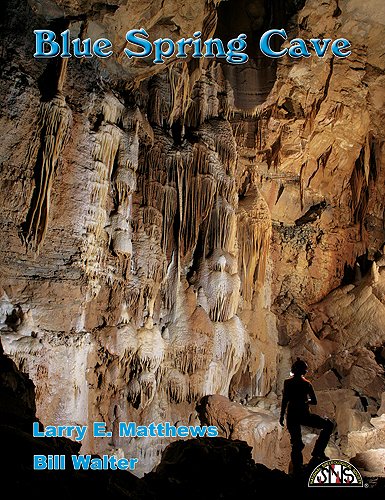 Stock image for Blue Spring Cave for sale by Open Books