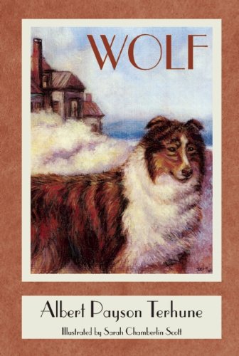 Imagen de archivo de Wolf a la venta por HPB-Emerald