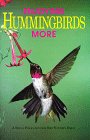 9781880241011: Enjoying Hummingbirds More