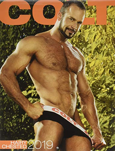 Stock image for Colt Hairy Chested 2019 Calendar for sale by GF Books, Inc.