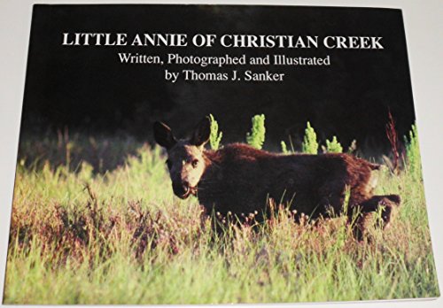 Stock image for Little Annie of Christian Creek for sale by Wonder Book