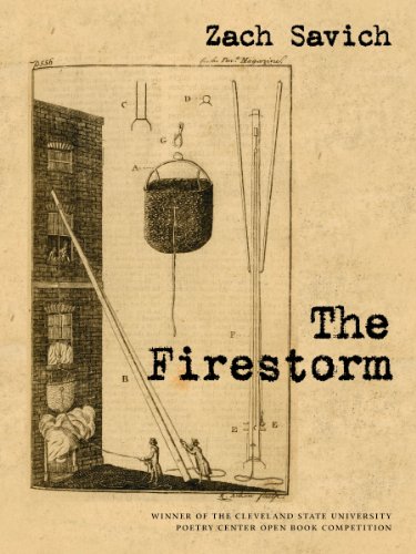Stock image for The Firestorm for sale by HPB-Ruby