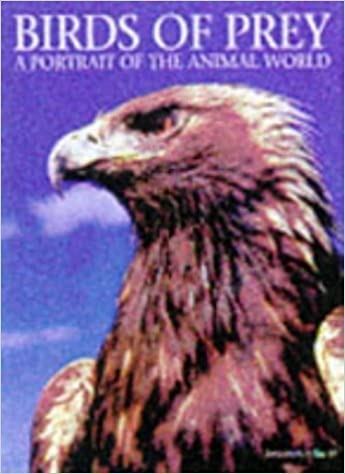Stock image for Birds of Prey: A Portrait of the Animal World for sale by Wonder Book