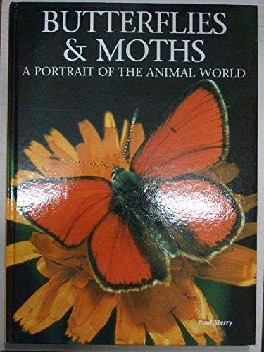 9781880908280: Butterflies and Moths