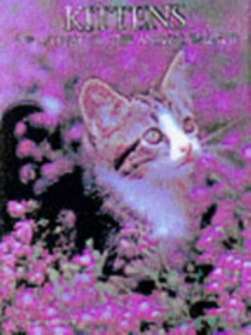 Imagen de archivo de Kittens a la venta por Better World Books