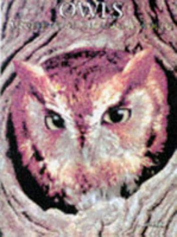 Imagen de archivo de Owls : A Portrait of the Animal World a la venta por Better World Books: West