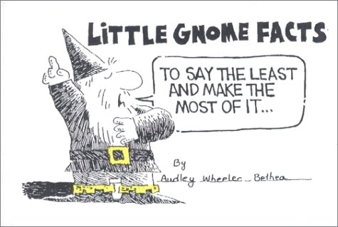 Beispielbild fr Little Gnome Facts zum Verkauf von Once Upon A Time Books