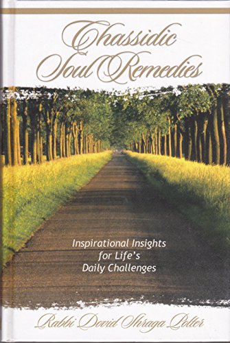 Stock image for Chassidic Soul Remedies : Inspirational Insights for Life's Daily Challenges for sale by Better World Books
