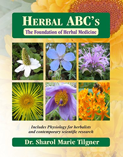 Stock image for Herbal ABC's The Foundation of Herbal Medicine for sale by Half Price Books Inc.