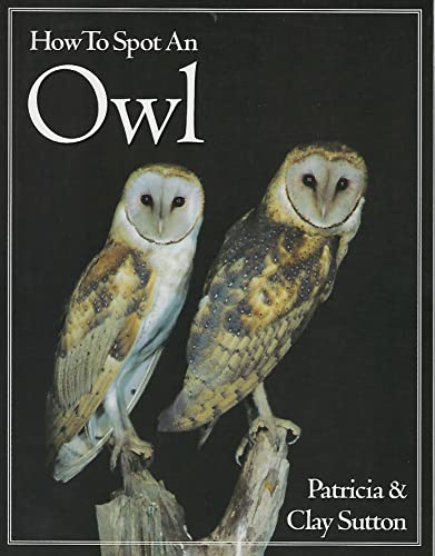 Imagen de archivo de How to Spot an Owl (The How to Spot Series) a la venta por SecondSale