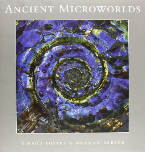 Beispielbild fr Ancient Microworlds zum Verkauf von N. Fagin Books