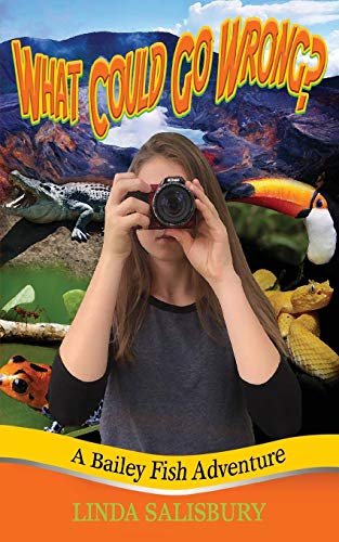 Beispielbild fr What Could Go Wrong? (Bailey Fish Adventures) zum Verkauf von GF Books, Inc.