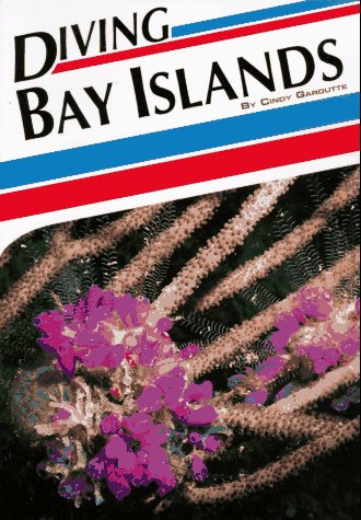 Stock image for Diving Bay Islands (The Aqua Quest Diving Series) for sale by Wonder Book