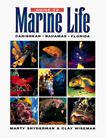 Beispielbild fr Guide to Marine Life: Caribbean-Bahamas-Florida zum Verkauf von Wonder Book