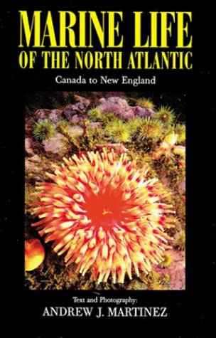 9781881652328: Marine Life of the North Atlantic: Canada to New England