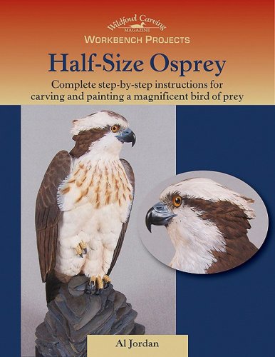 Beispielbild fr Workbench Projects: Half-Size Osprey zum Verkauf von HPB Inc.